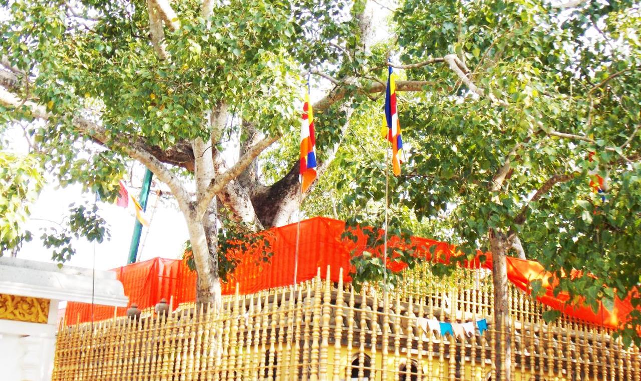 Kubura Resort Anuradhapura Eksteriør bilde