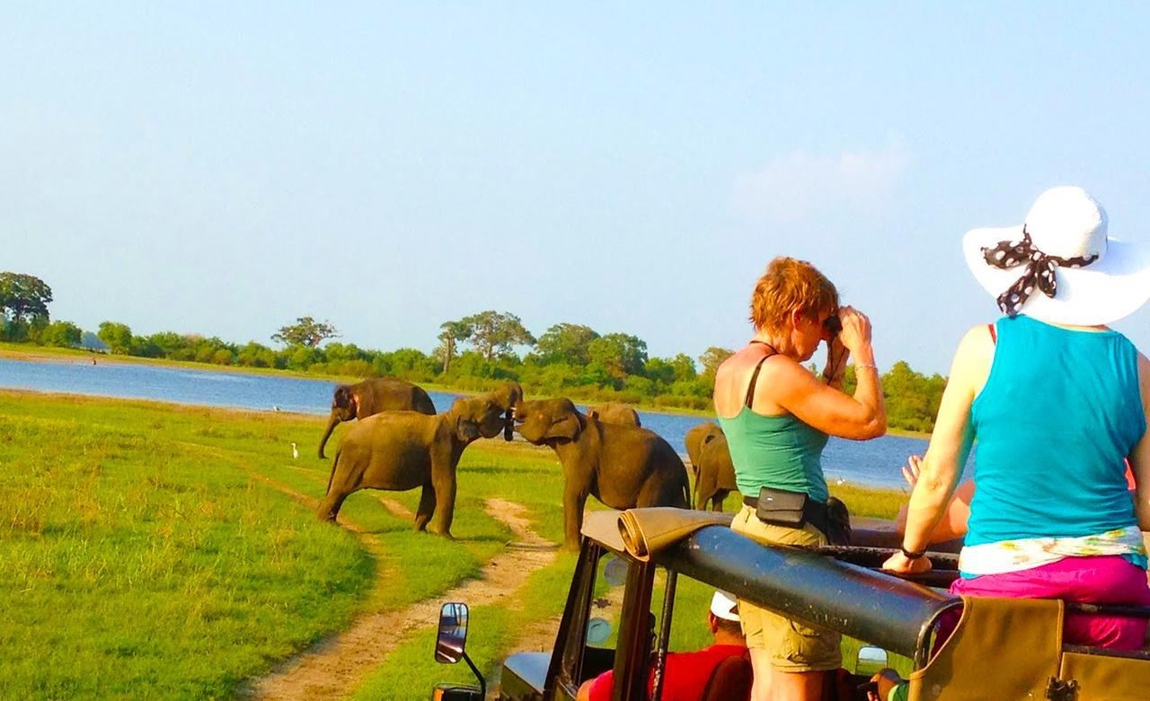 Kubura Resort Anuradhapura Eksteriør bilde
